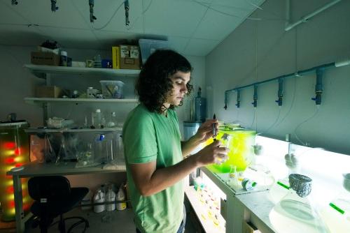 A student conducts algae research in the lab.